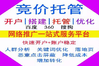 SEM运营中的数据分析和优化案例研究